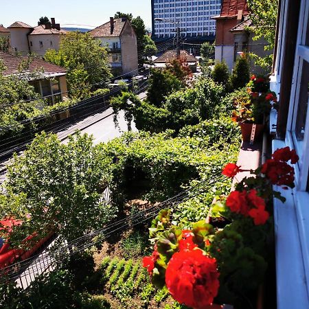 Apartament Hunter Appartement Cluj-Napoca Buitenkant foto