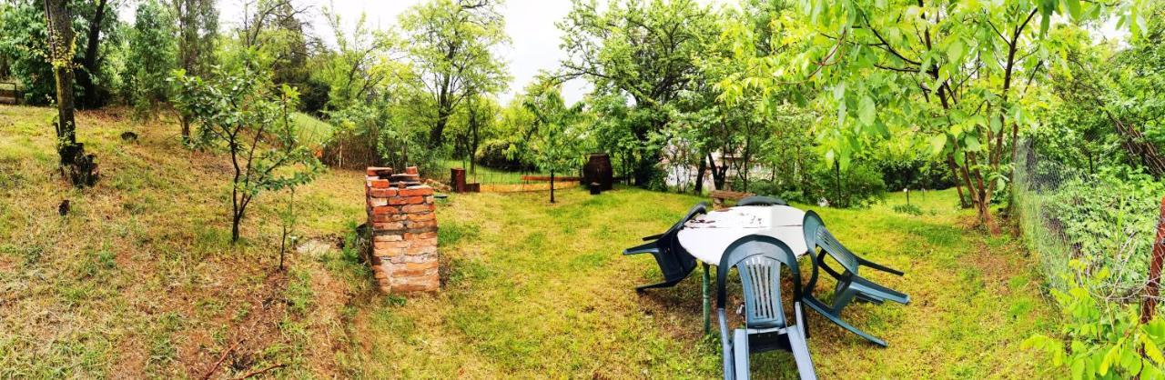 Apartament Hunter Appartement Cluj-Napoca Buitenkant foto