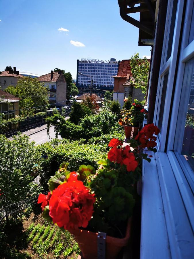 Apartament Hunter Appartement Cluj-Napoca Buitenkant foto