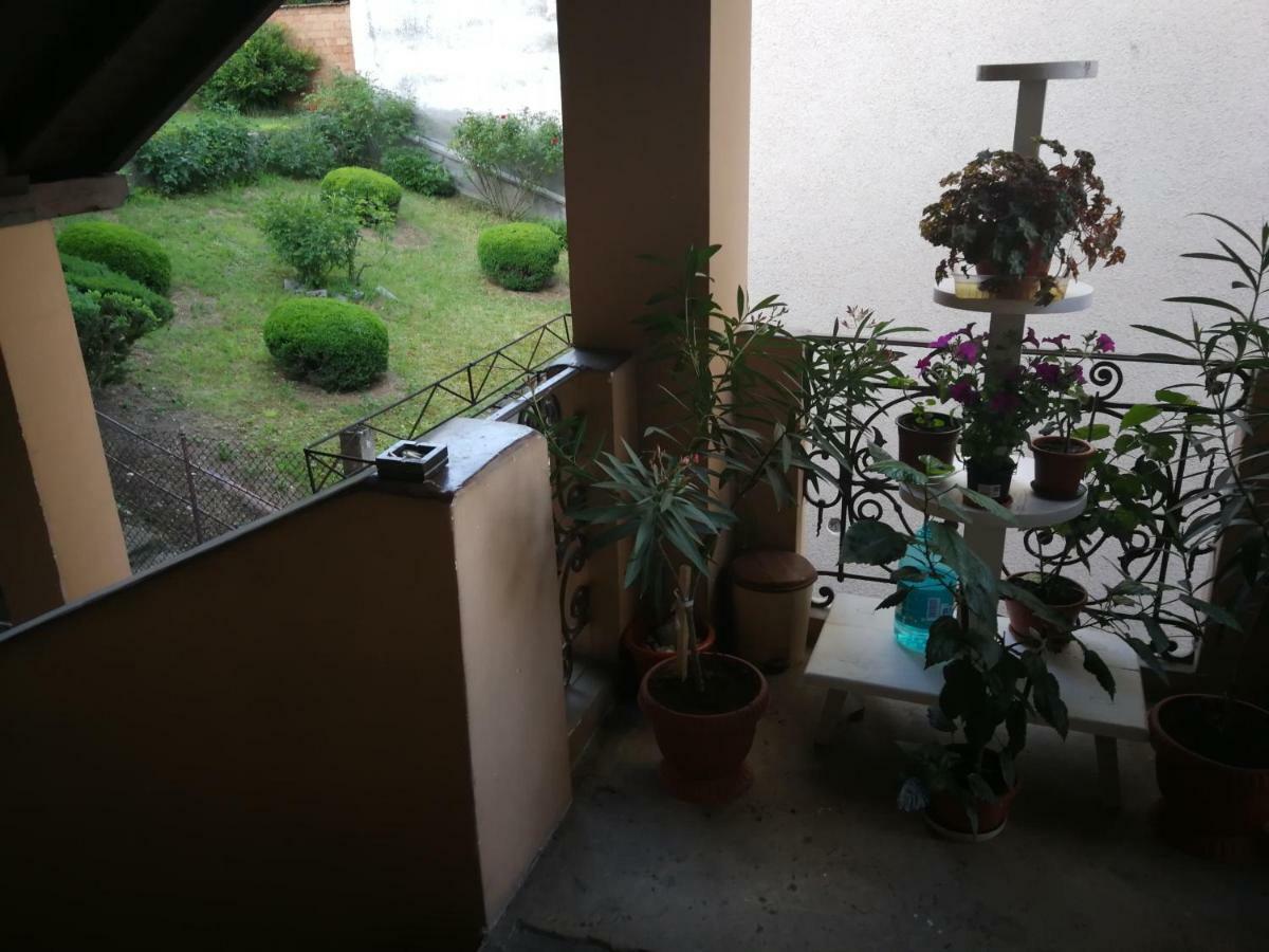 Apartament Hunter Appartement Cluj-Napoca Buitenkant foto