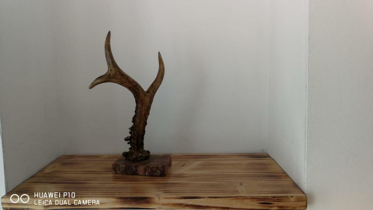 Apartament Hunter Appartement Cluj-Napoca Buitenkant foto