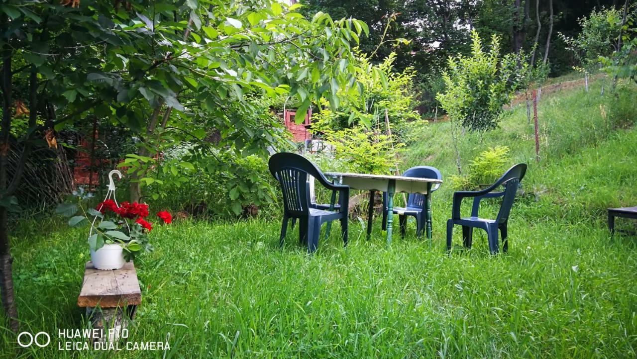 Apartament Hunter Appartement Cluj-Napoca Buitenkant foto