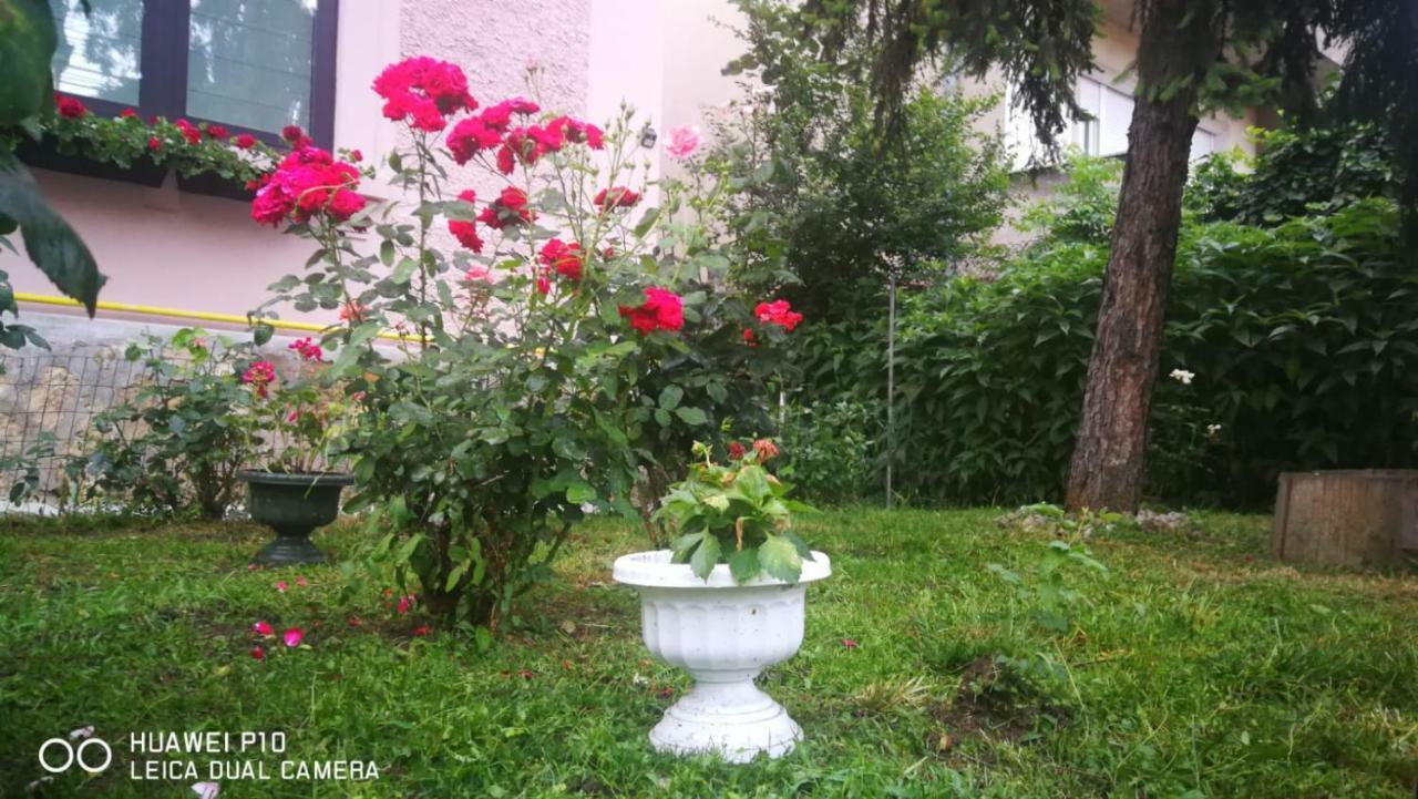 Apartament Hunter Appartement Cluj-Napoca Buitenkant foto