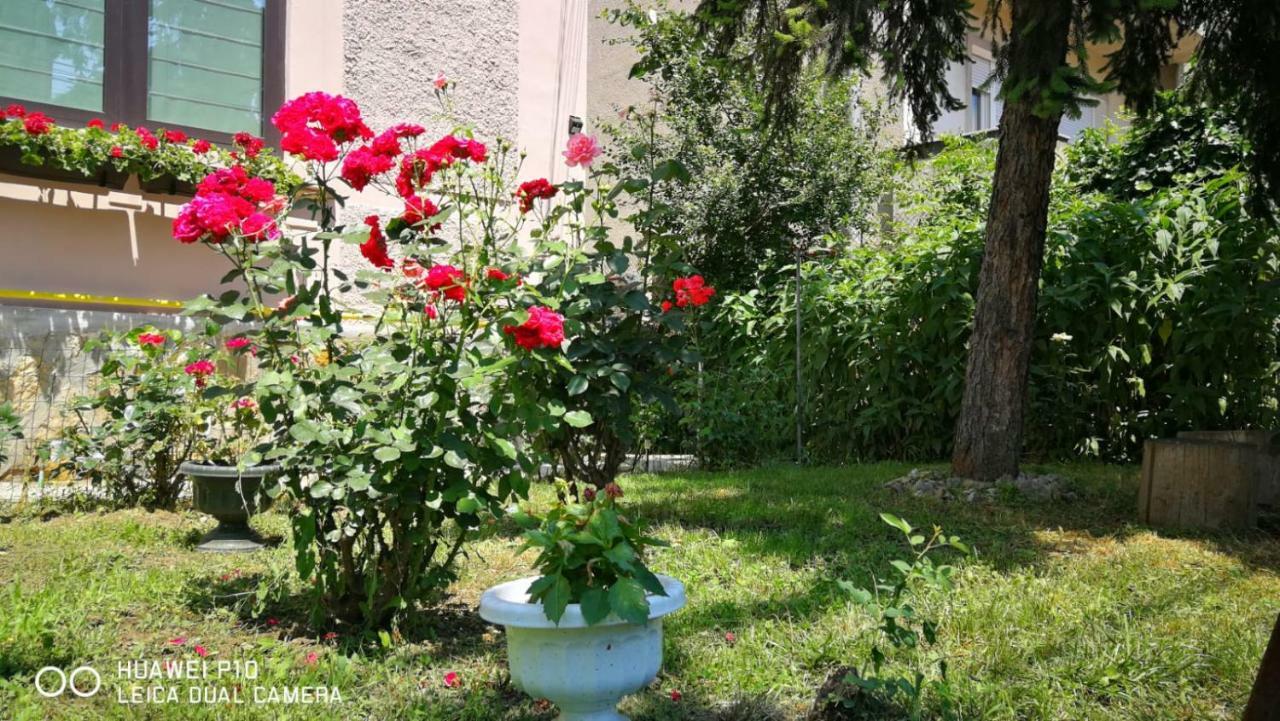 Apartament Hunter Appartement Cluj-Napoca Buitenkant foto