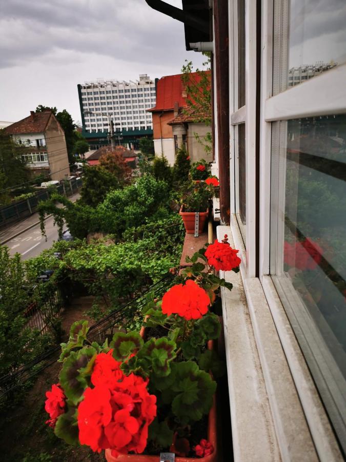 Apartament Hunter Appartement Cluj-Napoca Buitenkant foto