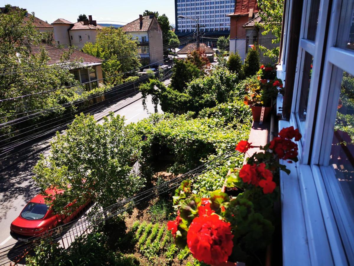 Apartament Hunter Appartement Cluj-Napoca Buitenkant foto